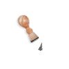 Holzstempel Tanne Abdruck Holzstempel Tanne Abdruck