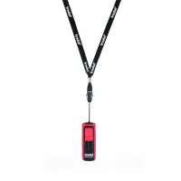 Lanyard